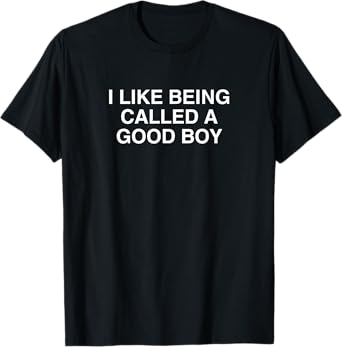I Like Being Called A Good Boy Funny Gen Z Novelty Brain Rot T-Shirt