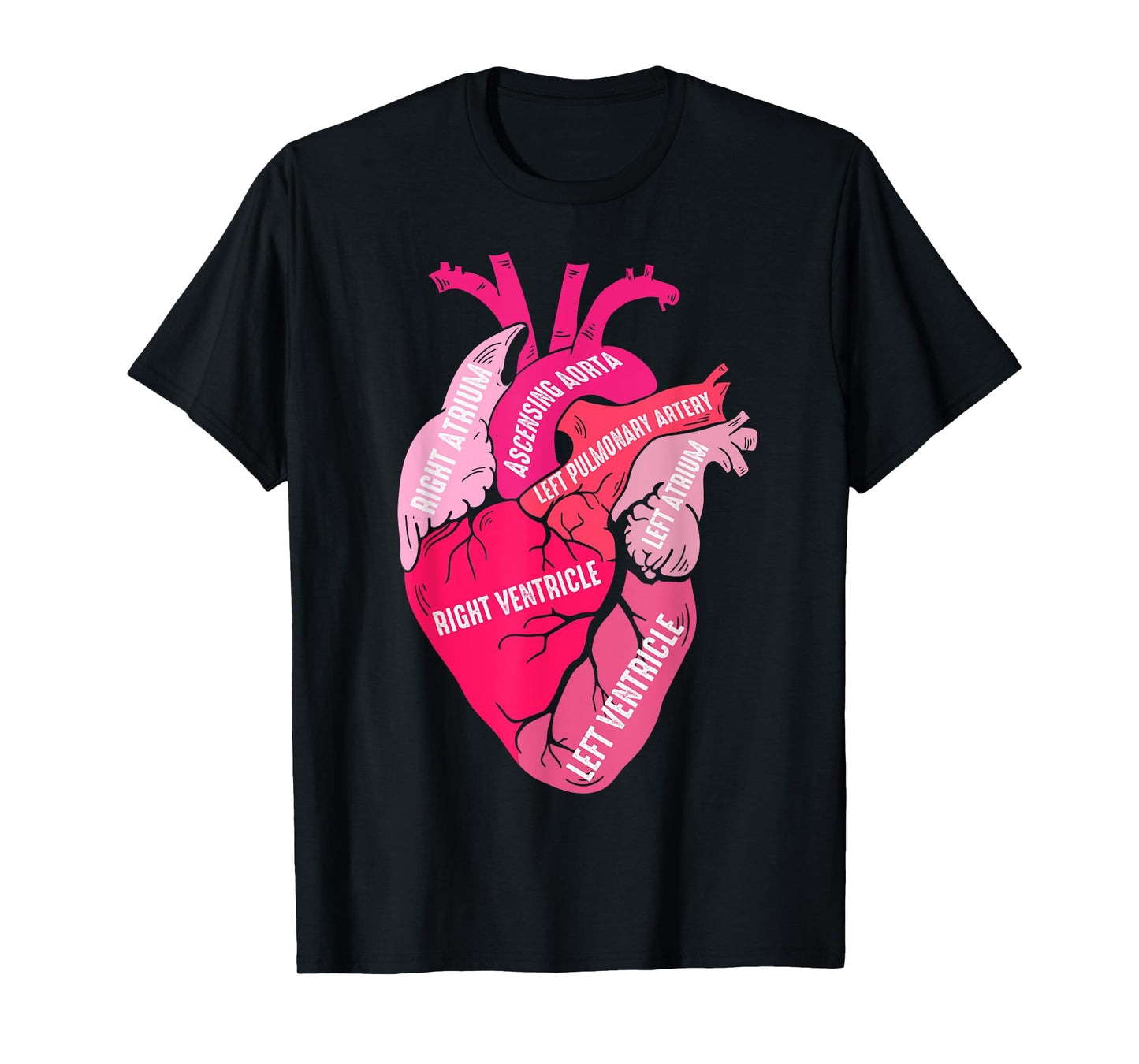 Parts Of Heart Cardiology Men Women Anatomical Cardiac T-Shirt