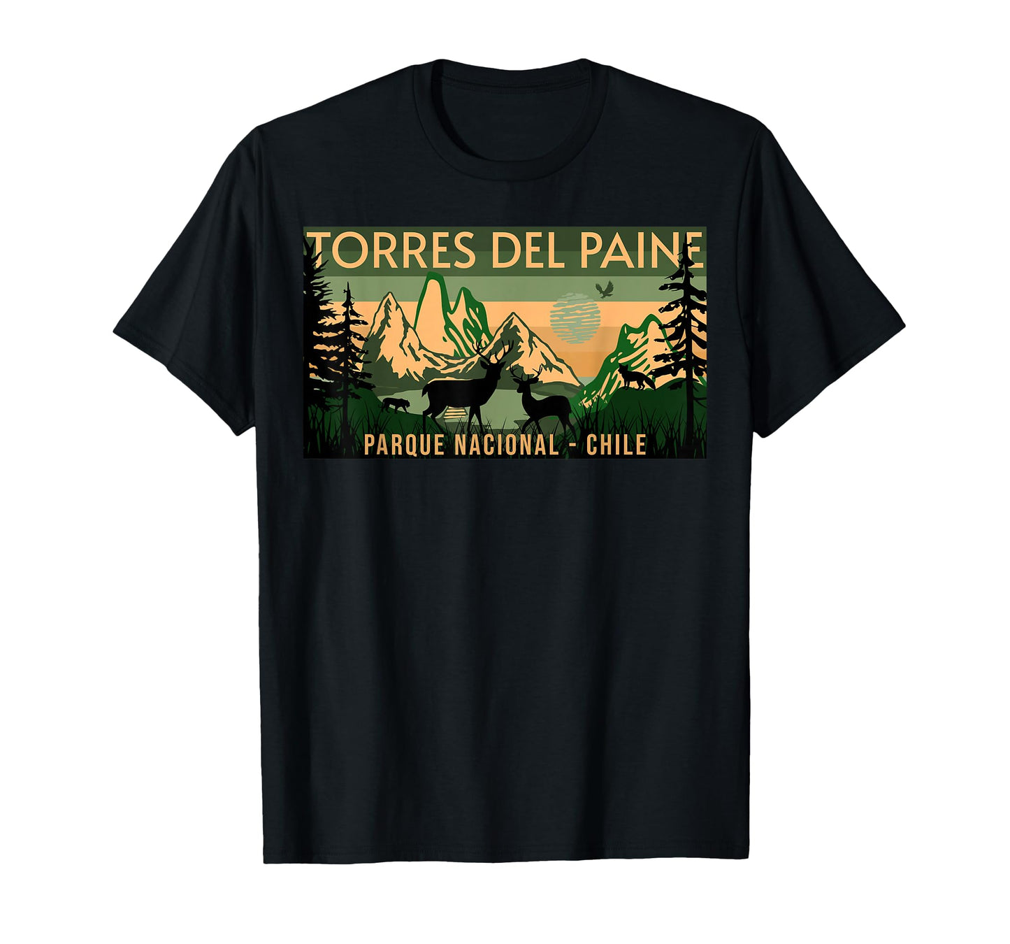 Parque Nacional Torres del Paine Chile T-Shirt, Small, Black