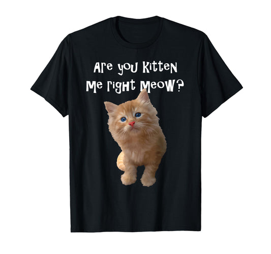 Are You Kitten Me Right Meow? T-shirt