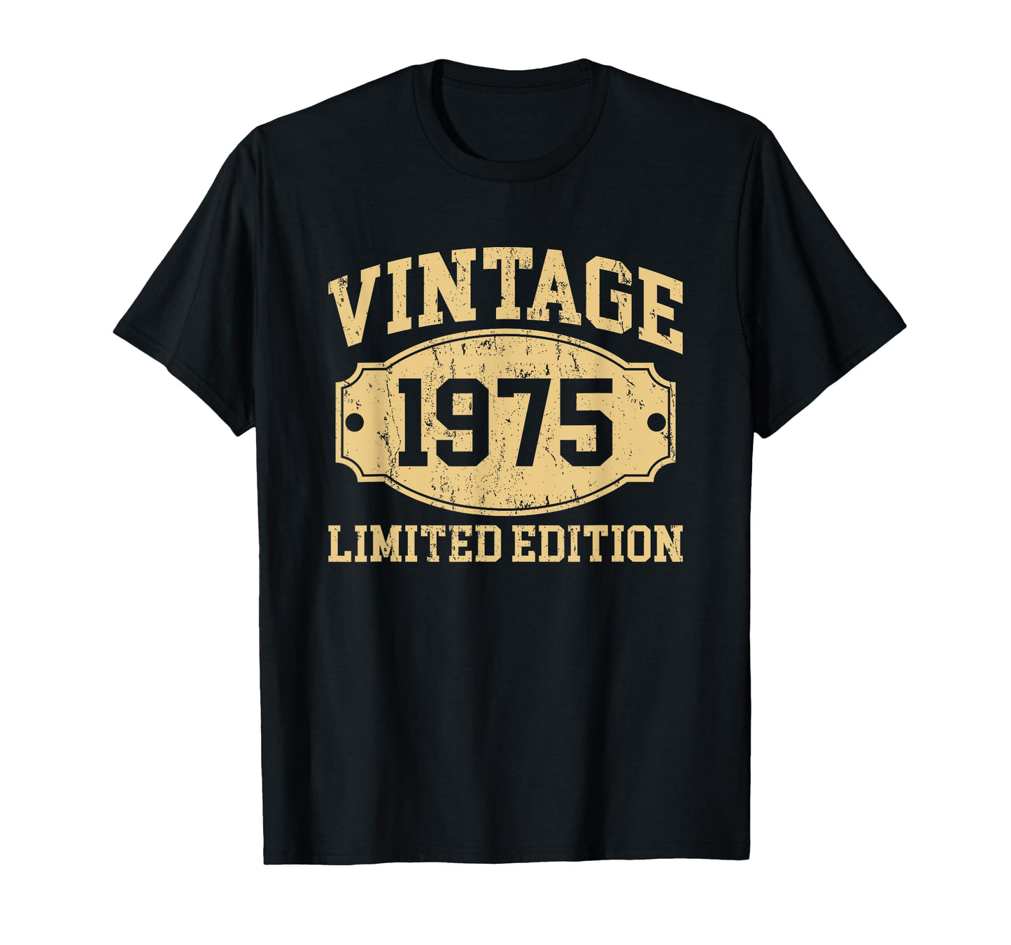 Vintage 1975 Men Women Born In 1975 Birthday Idea Vintage T-Shirt