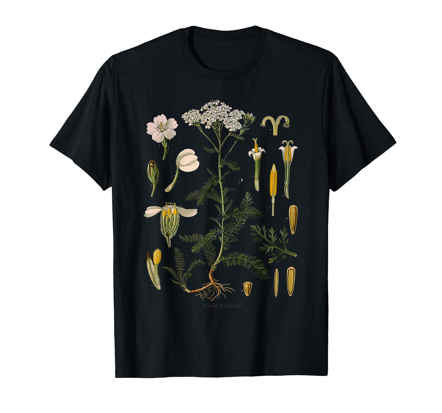 Yarrow Flower Vintage Floral Botanical Botany Illustration T-Shirt