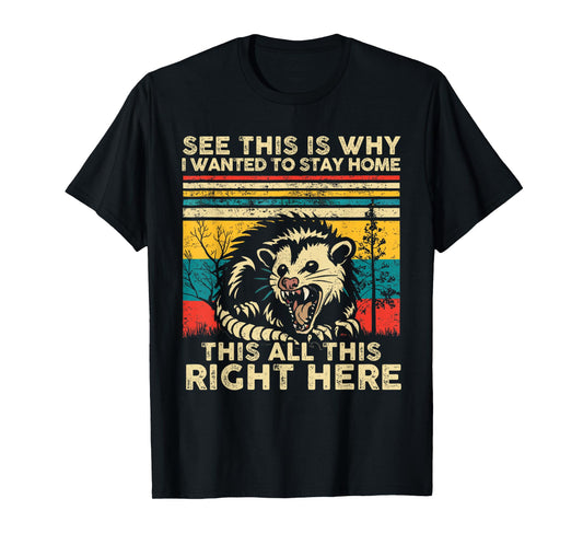 See This Is Why I Wanted To Stay Home This All This Right T-Shirt
