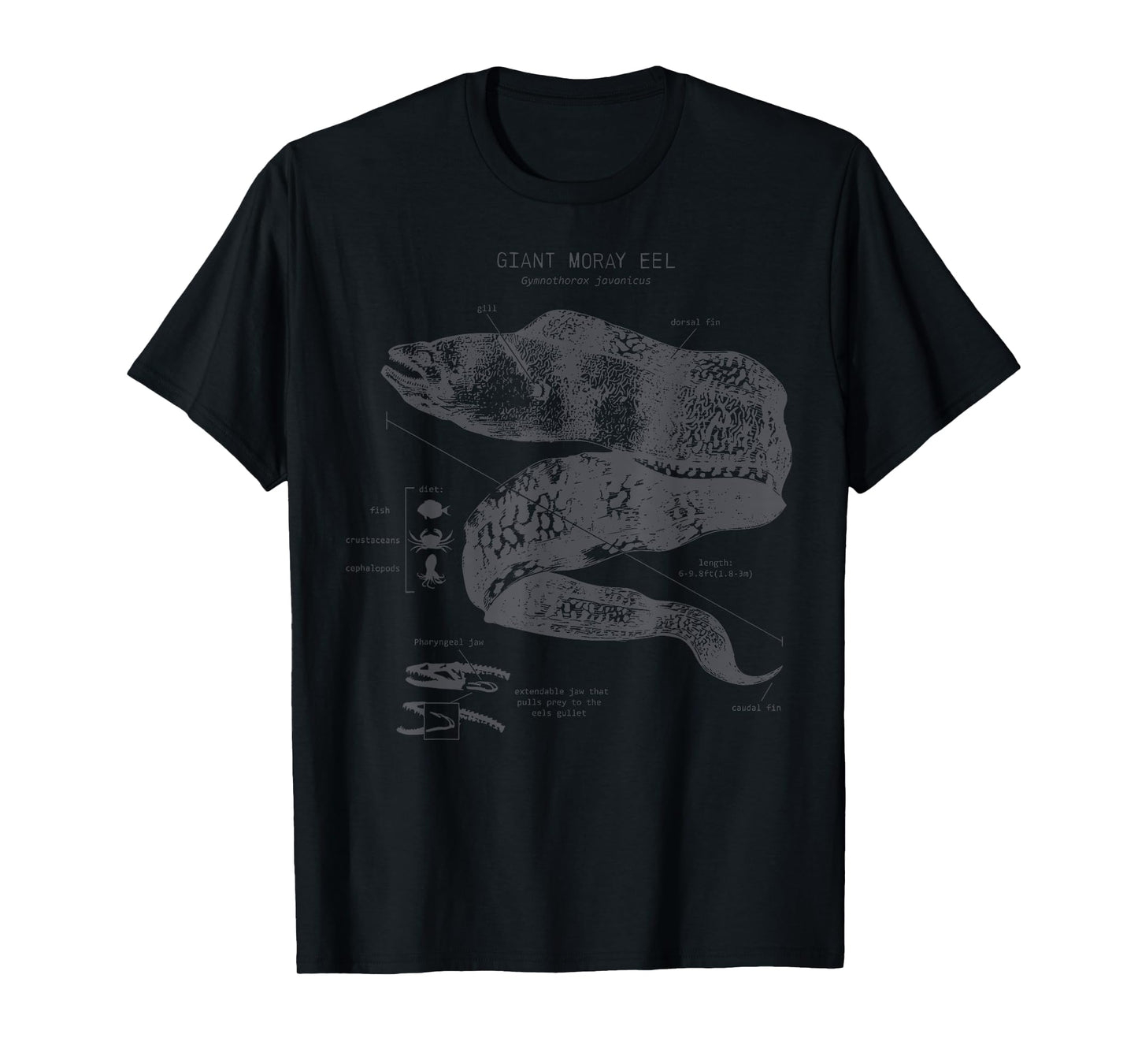 Vintage Moray Eel Anatomy Ocean Animal Marine Biologist T-Shirt