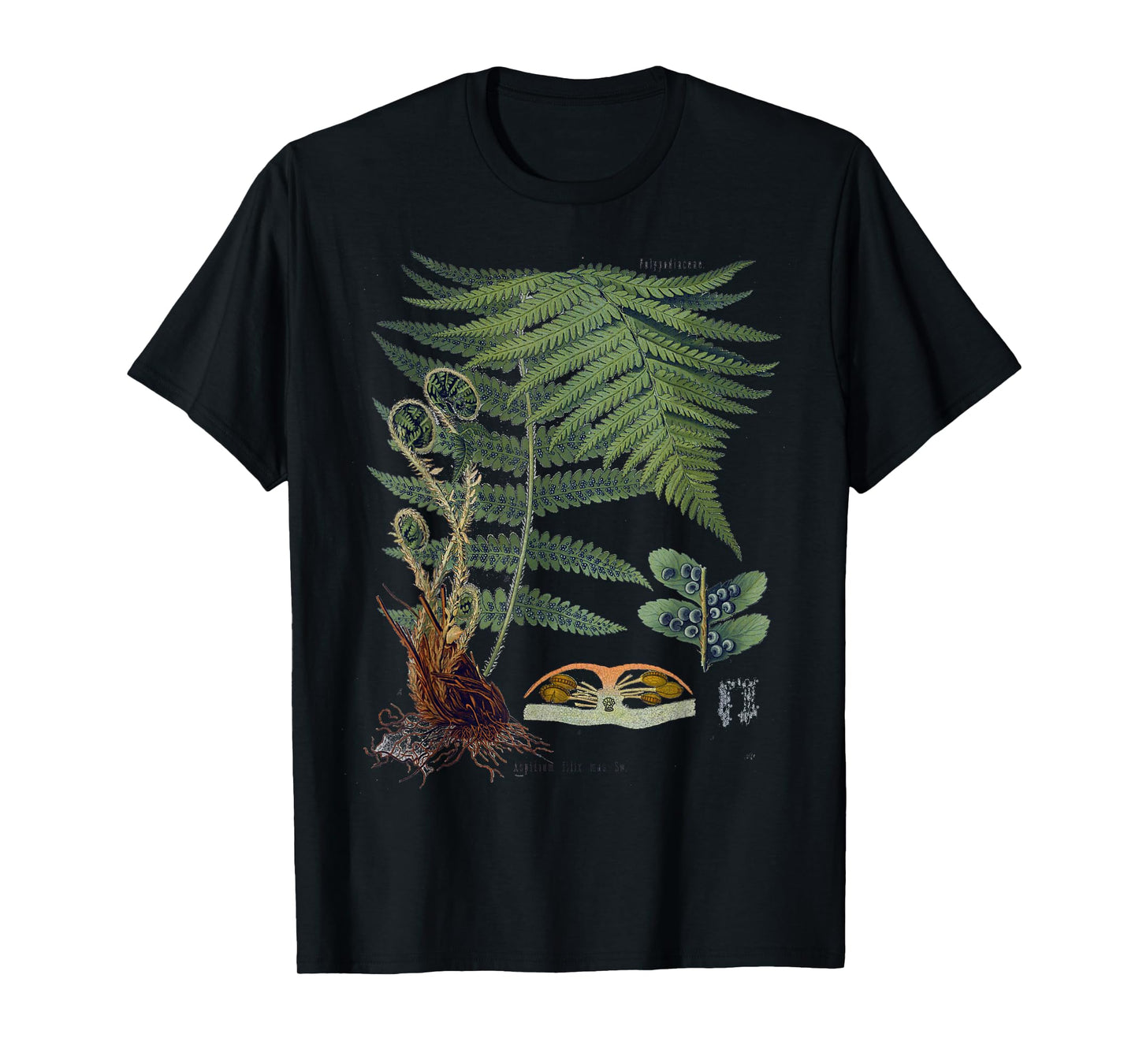 Fern Botanical Plants Botany T-Shirt